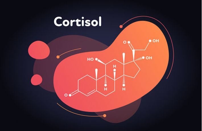 هرمون الكورتيزول