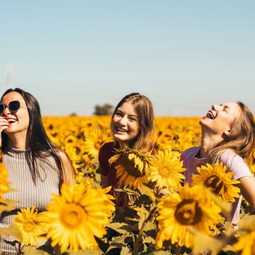 تصنيف الصداقة، نخبة الأصدقاء، الأصدقاء الاجتماعيون، الأصدقاء الحميمون