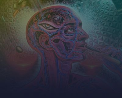 الشعور الناتج عن الـ (DMT) طريقة التعاطي التأثيرات الجانبية مخاطر تعاطي