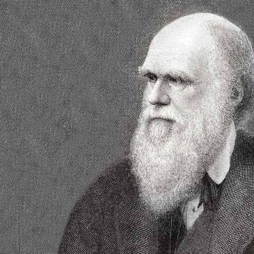 تشارلز داروين السيرة الذاتية التأثير المؤلفات النظريات الآراء