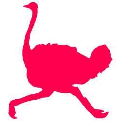 تأثير النعامة